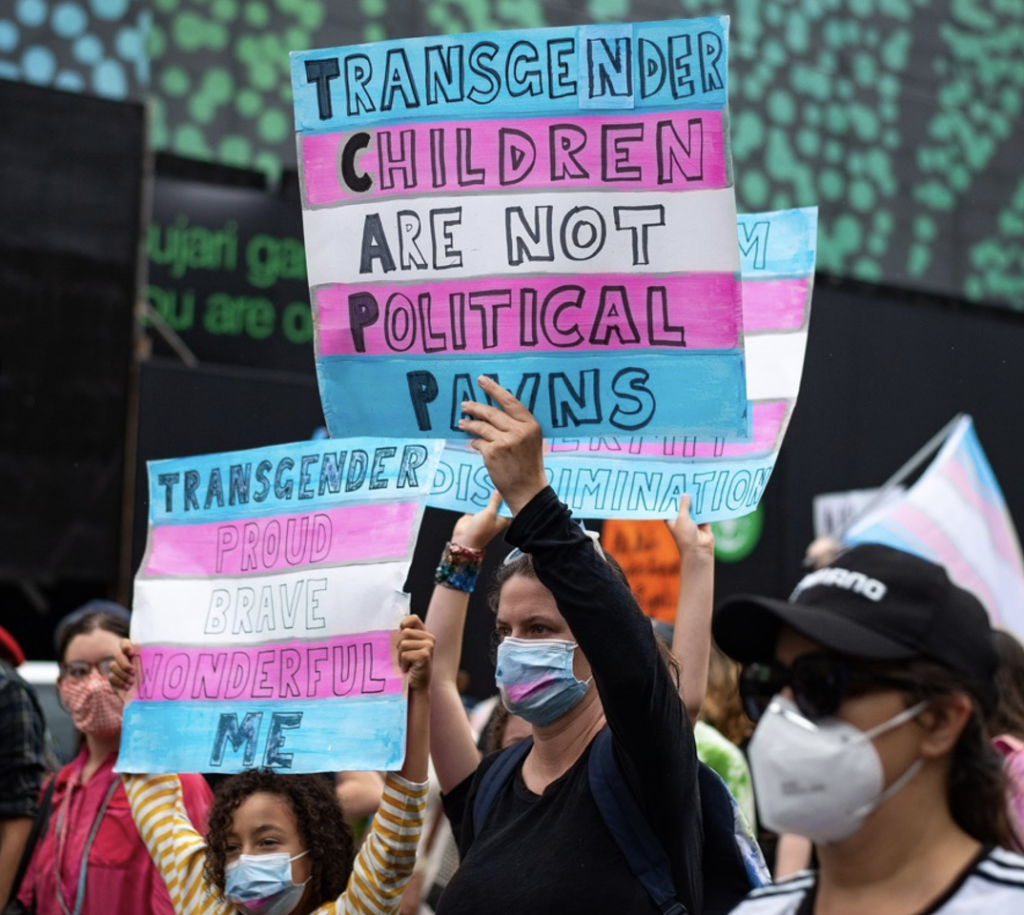 trans rights image