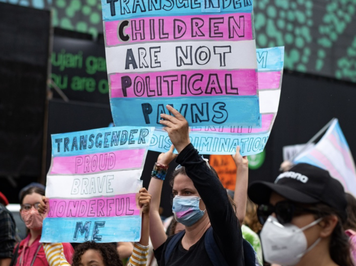 trans rights image