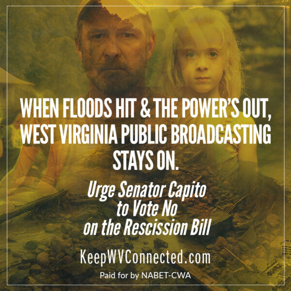 wva1_800x800 wva1_800x800